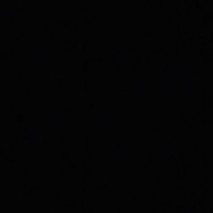 Meet your Posher, Trina